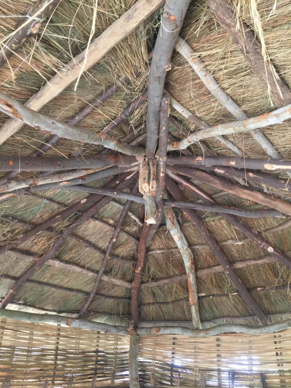Villa Chez Bethy & Baboulaye Jungle Et Ocean Abémé Exterior foto
